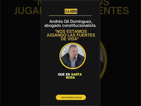 Andrés Gil Domínguez, abogado constitucionalista.shorts reels  "Nos estamos jugando las fuentes de…