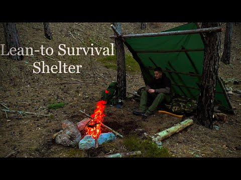 2 DAYS Solo Overnight | Winter Camping under a Tarp Lean-to Survival Shelter-Bushcraft  Skils - ASMR