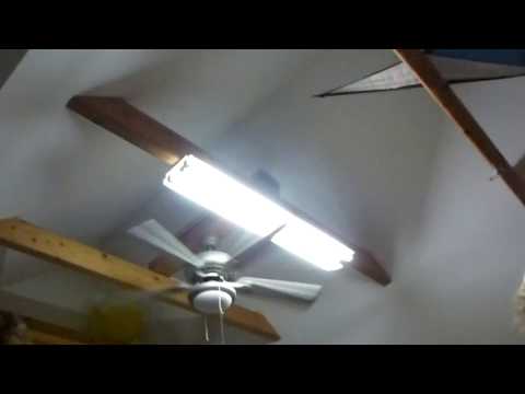 Minotauři - Romance o Karlu IV