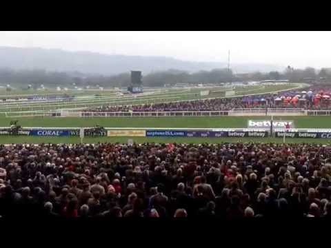 Don Poli wins the RSA - Go on the Don !