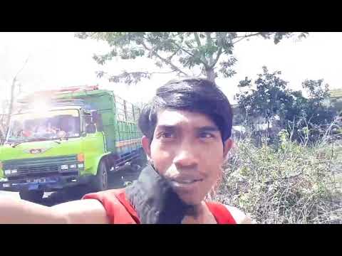 Rasa rasanmu semangatmu
