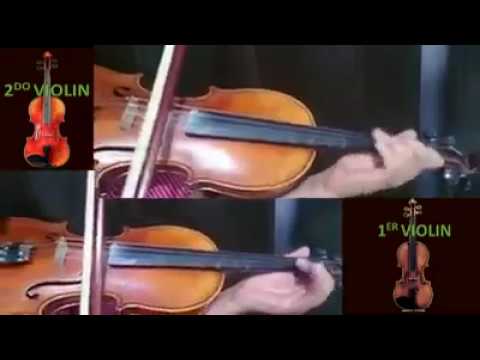 Tu che abiti nei giardini  (INSTRUMENTAL)