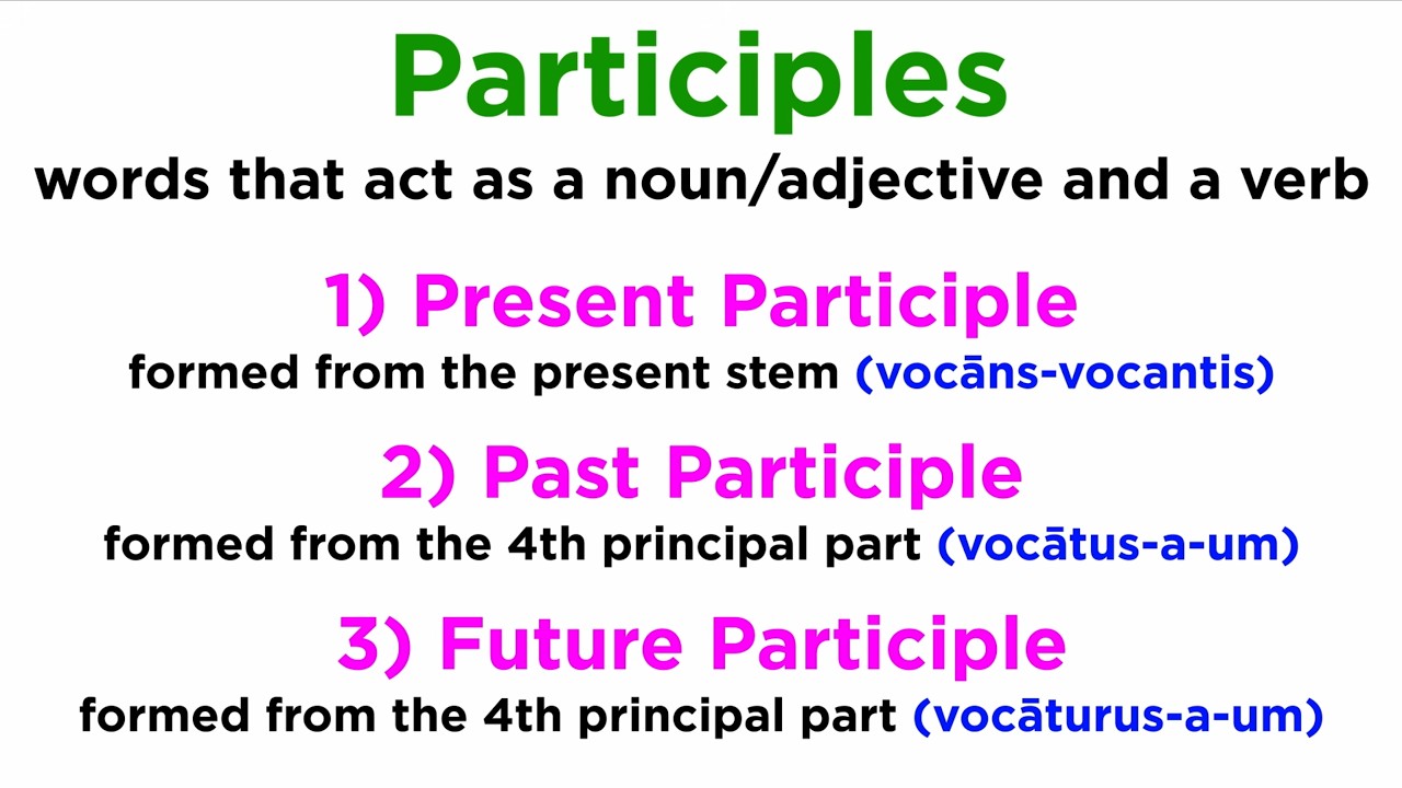 Introduction to Latin Participles