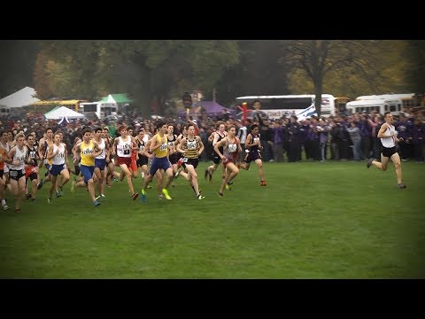 2017 IHSA Class 3A Boys Cross Country State Meet // 11.04.17