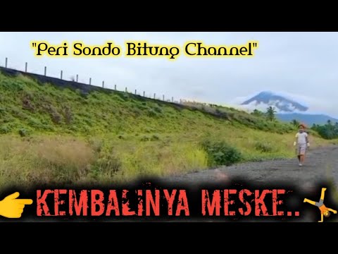 meske-sang-penakluk-cacing-cacing