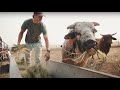 Jonah Prill - Cowboy $hit (Official Music Video)