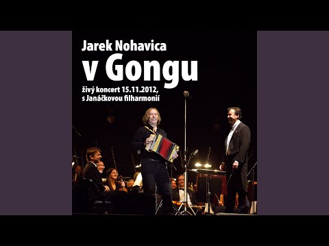Podzemní Prameny (feat. Janáčkova Filharmonie Ostrava, Marko Ivanović) (Live)