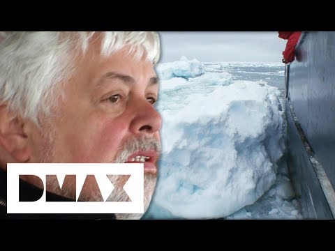 The Sea Shepherds Crash Into An Iceberg Severely Damaging The Ship | Whale Wars