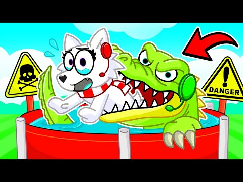 DO NOT PET the ZOO ANIMALS..