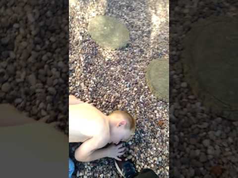 Out in the wild musket games #1