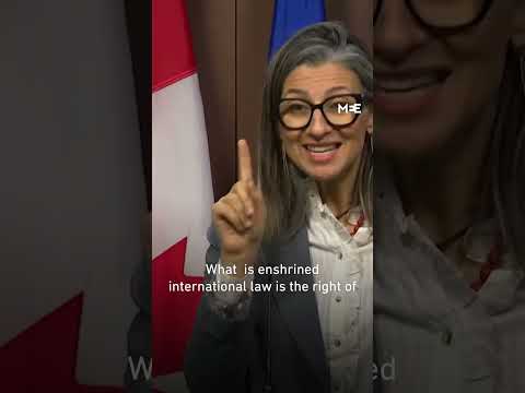 Francesca Albanese shuts down reporter question on whether Israel has right to exist