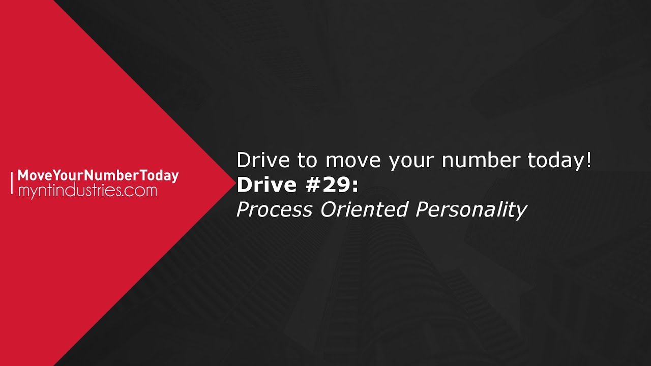 4 personality types at work - Process Oriented