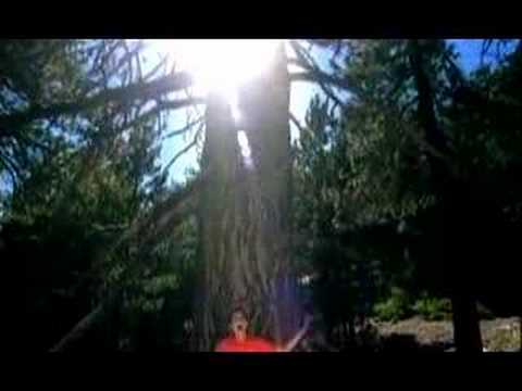 Nelly Furtado - I'm like a bird