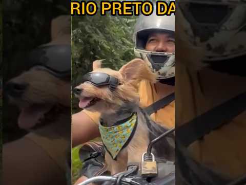 Snoopynho conhecendo o  Município de Rio Preto da Eva