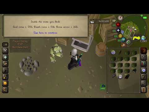 Lil Soul Wars Pet amg pet 35