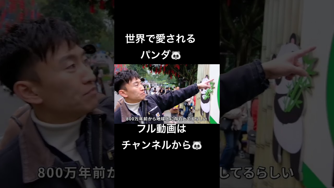 日本から消えたパンダ。帰国後の生活
