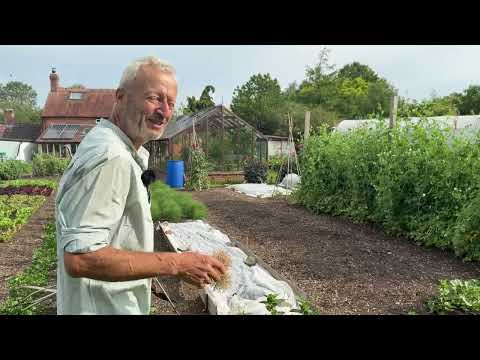 4 Easy Composting Methods to Transform Waste into Rich Mulch & Potting Mix | No Dig Gardening Tips