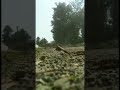 Naan Veelven Endru Ninaithayo