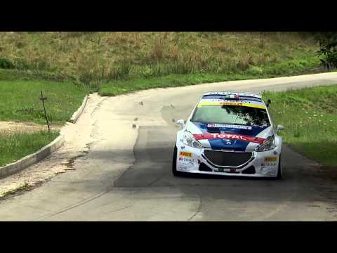 Peugeot 208 T16 - Paolo Andreucci:... io la guido così!