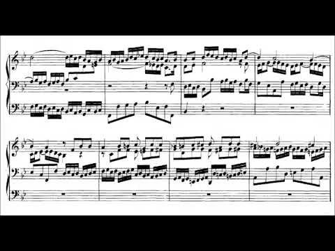 J.S. Bach - Fantasia and Fugue in G minor, BWV 542 {Peter Hurford}