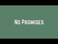 Shawn Mendes - No Promises (Lyrics)