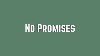 Shawn Mendes - No Promises (Lyrics)
