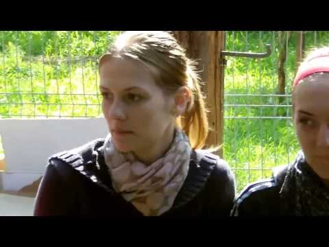 Borzia and Oostduinkerke together in Romania