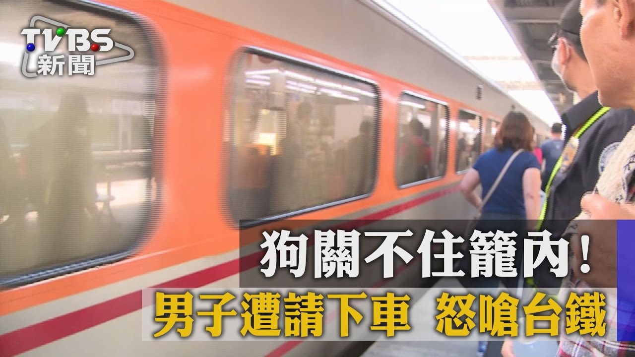 狗關不住籠內！男子遭請下車　怒嗆台鐵