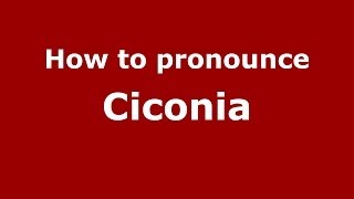 How to pronounce Ciconia