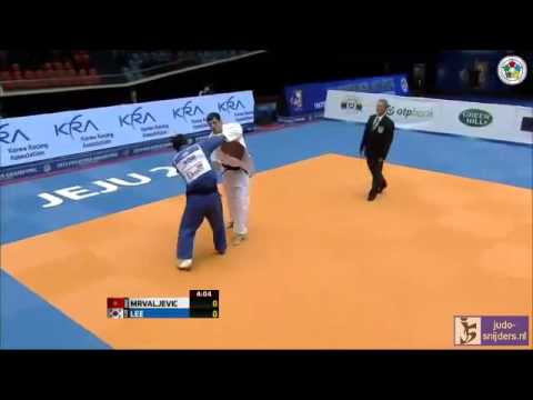 Judo 2013 Grand Prix Jeju: Mrvaljevic (MNE) - Lee (KOR) [-81kg] bronze