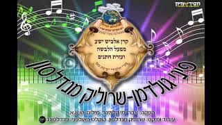 פיני גולדמן & שרוליק מנדלסון - עזרת חתנים ישיבת צאנז