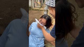 Download lagu A POWERFUL ANESTHETIC FROM WOMEN'S SANCTUARY PADS #crafts #art #diy #toys #kraft #viral mp3 Download lagu A POWERFUL ANESTHETIC FROM WOMEN'S SANCTUARY PADS #crafts #art #diy #toys #kraft #viral mp3