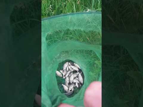 Canalul stefanesti judetul Calarasi