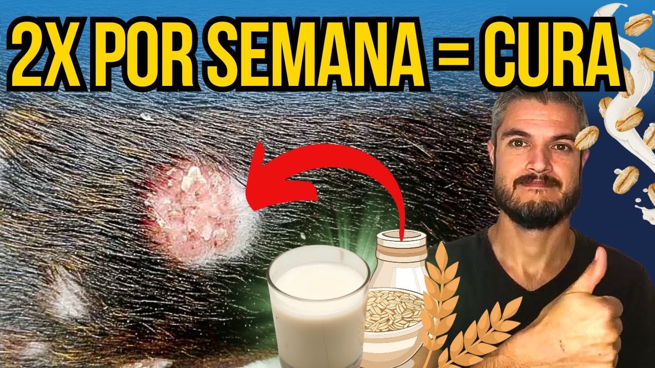 CACHORRO COÇANDO SEM PARAR REMEDIO CASEIRO PARA DERMATITE EM CAES COM QUEDA DE PELOS E FERIDAS