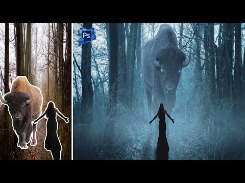 Photoshop Manipulation Tutorial Elephant Manipulation Design Vertex Graphic