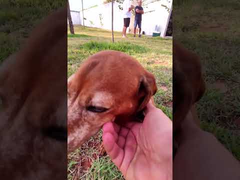 CASA em TERRA RICA no PARANÁ                  #terrarica #casaavenda #corretordeimoveis