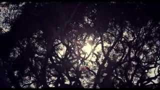Angus and Julia Stone - And The Boys Official Music Video