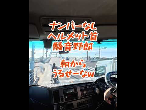 【騒音バイク野郎】を追いかけて静かにさせてみた。#大型トラック