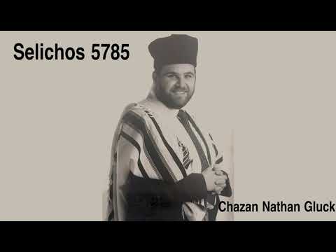 Chazan Nathan Gluck - Nusach Selichos -Live 2nd Day