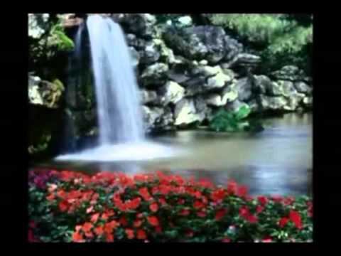 Espíritu Santo ven hacia mi ( Pr. Cosme Silva)