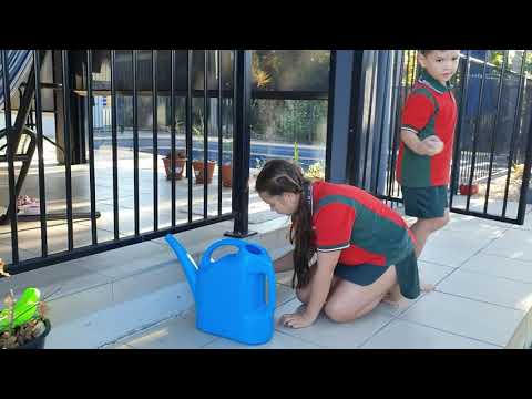 After school routine ❣