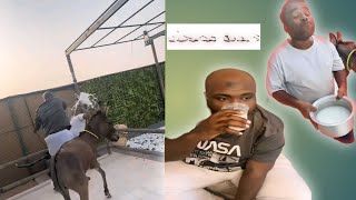 Download lagu Arabic Funny video DILSHAD KHAN 🤣🤣🤣🤣فيديو مضحك mp3