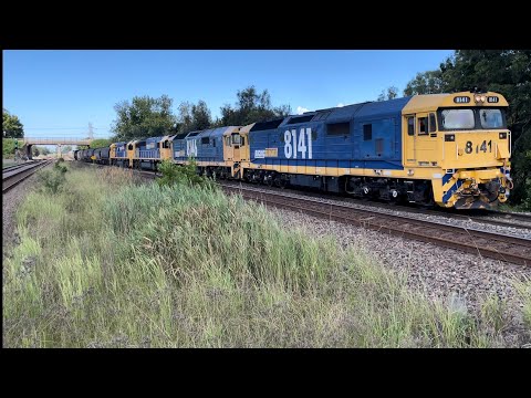Pacific National 8141, 8146, 8213 & 8232 with 9537 Grain at Tarro - 30/3/23