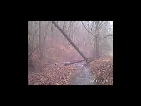 palence - tephra [torpor LP]