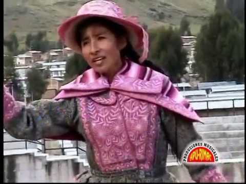 Fox Chumbivilcano - Flor Andina De Chumbivilcas