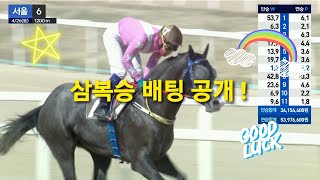 [경마] 삼복승 배팅 공개 !