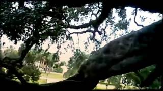 The Kids at Treaty Oak Park by Magisto