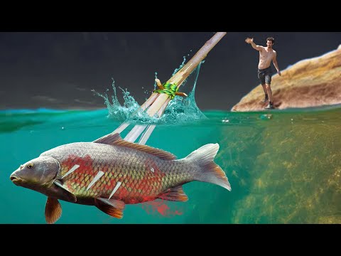 $0 vs $300 Spear Hunting!