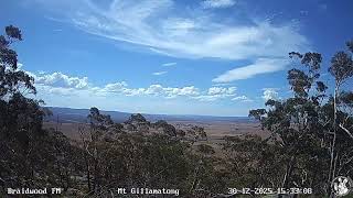 Braidwood Dec 30/12/2025