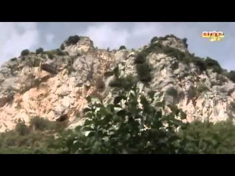 DOKU  Terra X   74   Das geraubte Gold Jahwes   Fahndung nach Jerusalems Tempelschatz